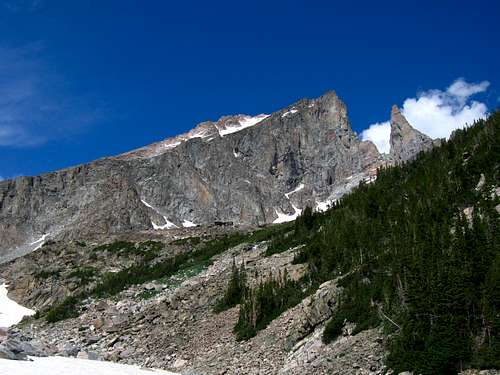 Bears Tooth