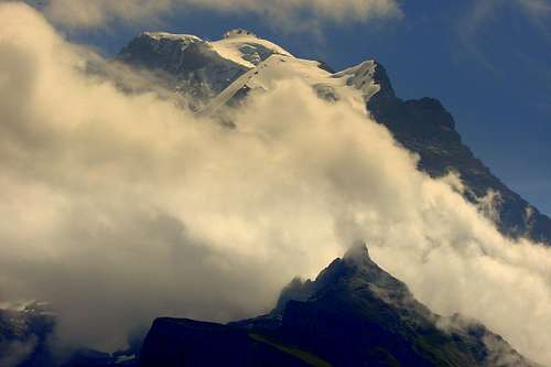 Jungfrau, Silberhorn, Scharzmönch from the mountainpath between Grütschalp and Allmendhubel