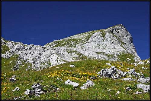 The SE slopes of Cornettes de Bise
