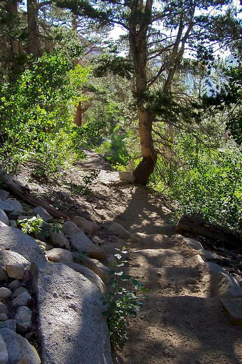 Section of the trail