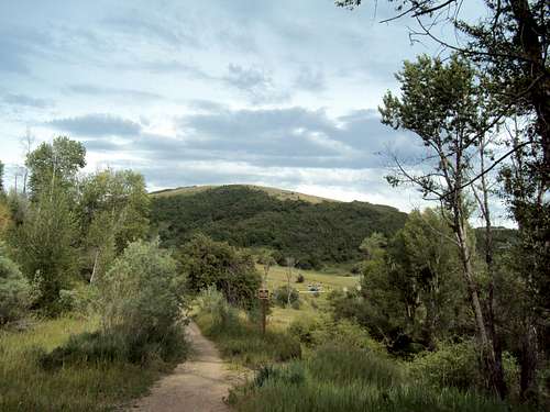 Trail near Art Nord