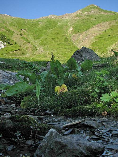 Very green mountains