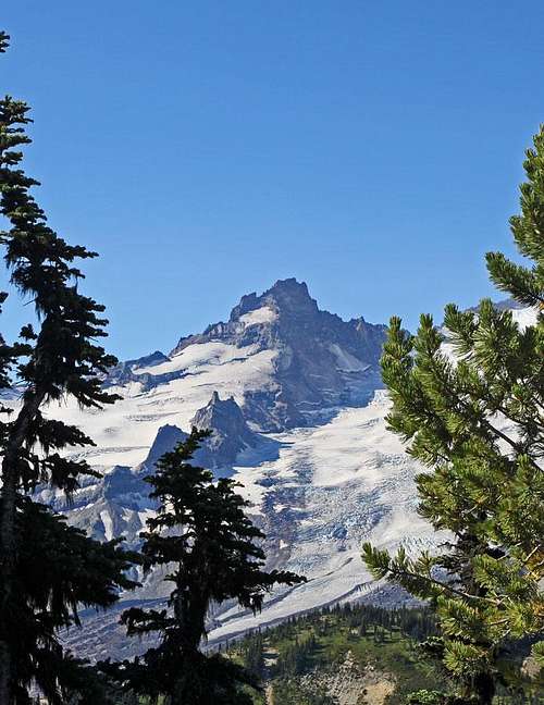 Little Tahoma from Burroughs Mountain trail