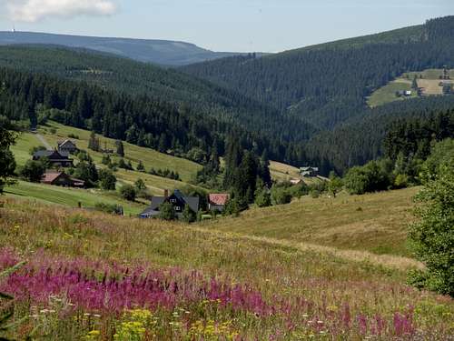 Fireweed over Malá Úpa