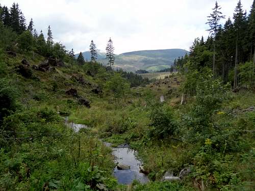 Trail from the church to upper Malá Úpa 