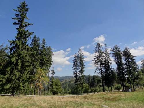 Meadow near the Stecówka hut