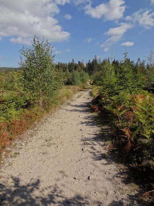 Trail on Stecówka Pietroszonka, beautiful ridge with open views