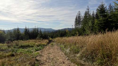 Red trail from Stecówka hut to Kubalonka pass