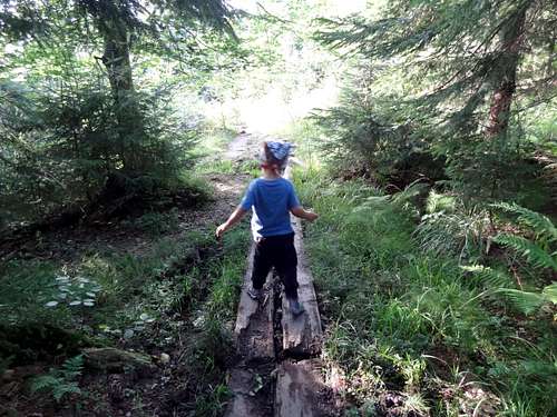 Hiking the Stecówka trail