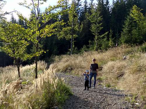 Hiking the Stecówka trail