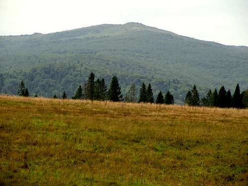 Mount Kinczyk Bukowski (1251 m)