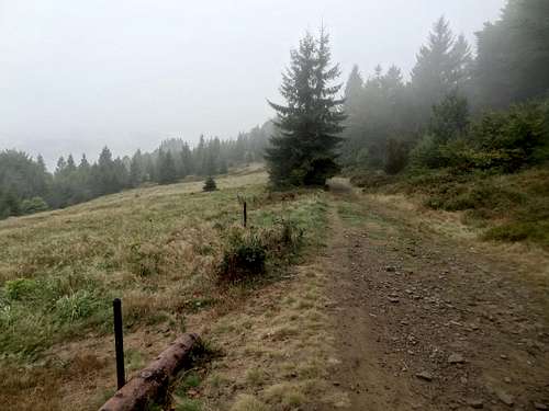 Ridge trail south from Czantoria