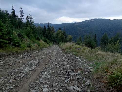 Hala Skrzyczeńska trail