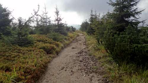 Trail on top of Malinów