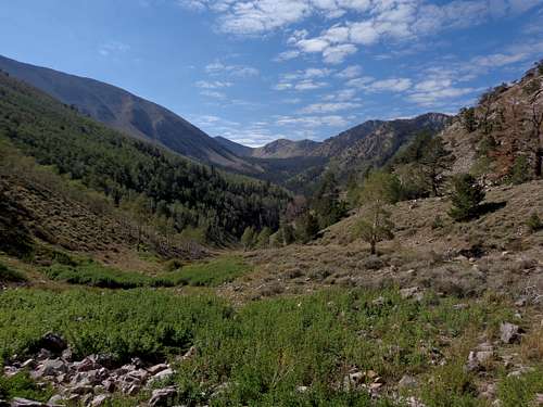 Schell Creek Range