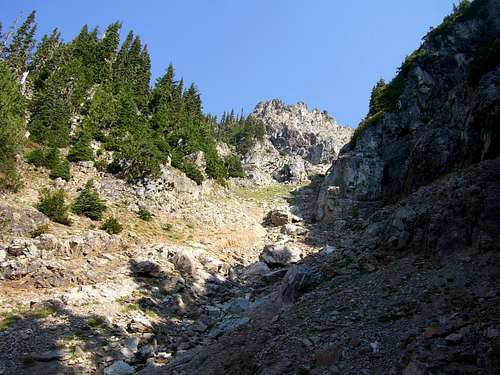 Looking up Sheep Mountain summit gully from 5200'