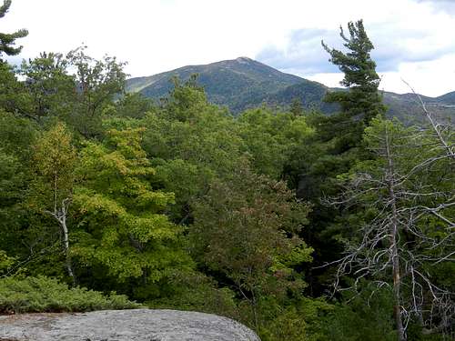 Baxter Mtn. Summit Foliage