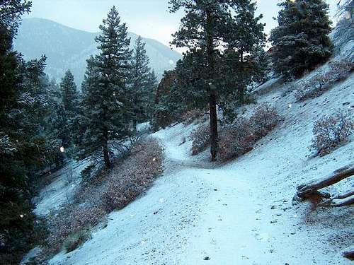 Snow covered trail going down...