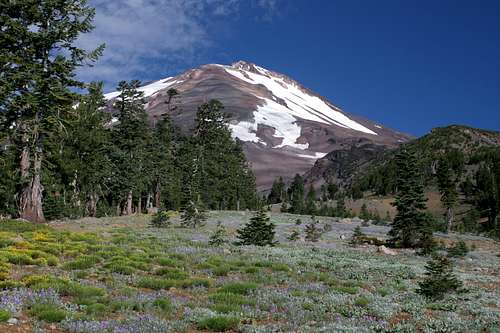 Mount Shasta