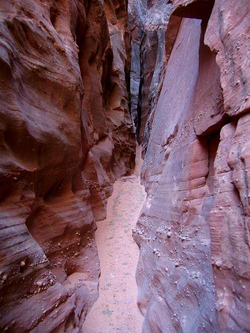 Larry Canyon narrows