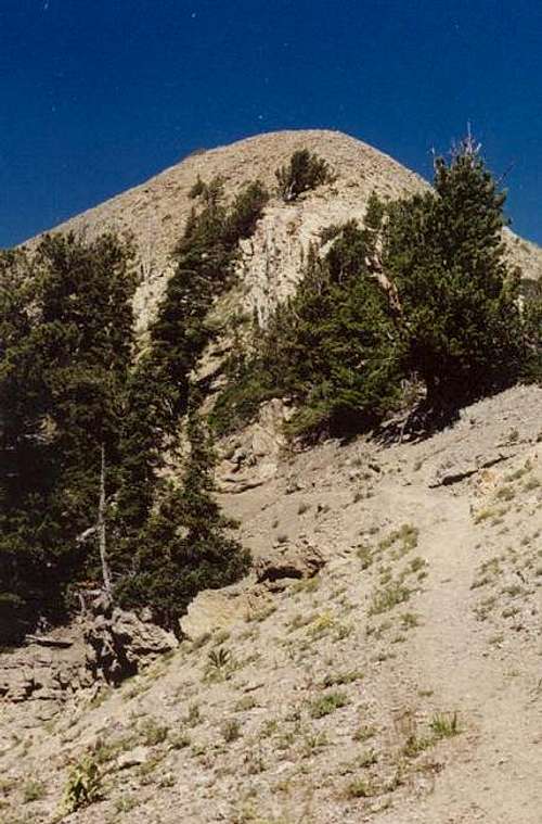 Santaquin Peak summit.