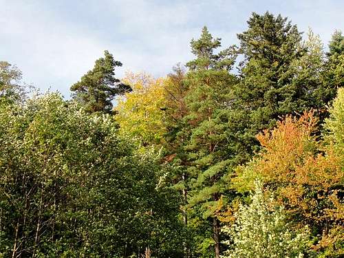 Autumn in Rymanów Zdrój 2012