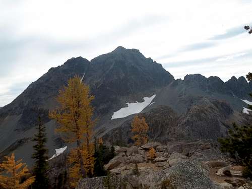 Copper Point and larches
