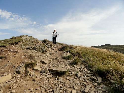 On the ridge of Mount Bukowe Berdo ( 1312 m)