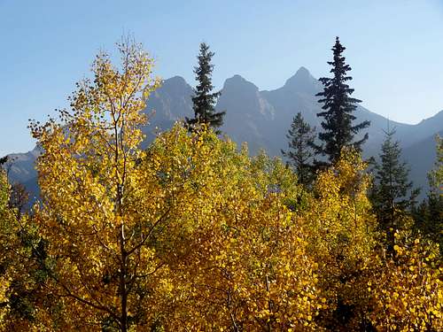 It's Fall in Canmore