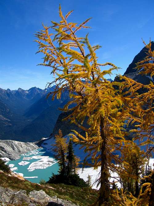 Larches and Lakes
