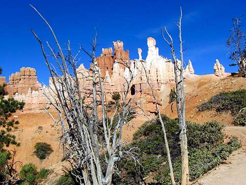 On the east arm of Peekaboo Loop