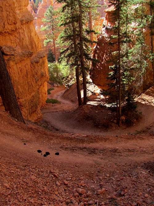 Looking Down the Switchbacks