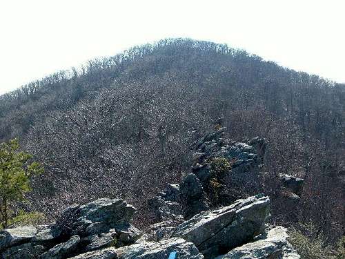 Bearfence Mountain from the...