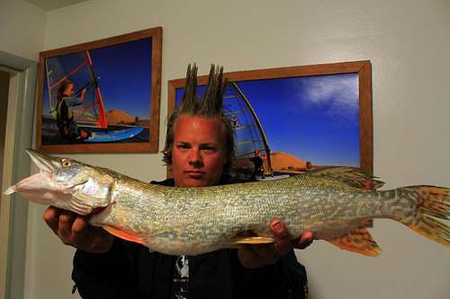 Northern Pike