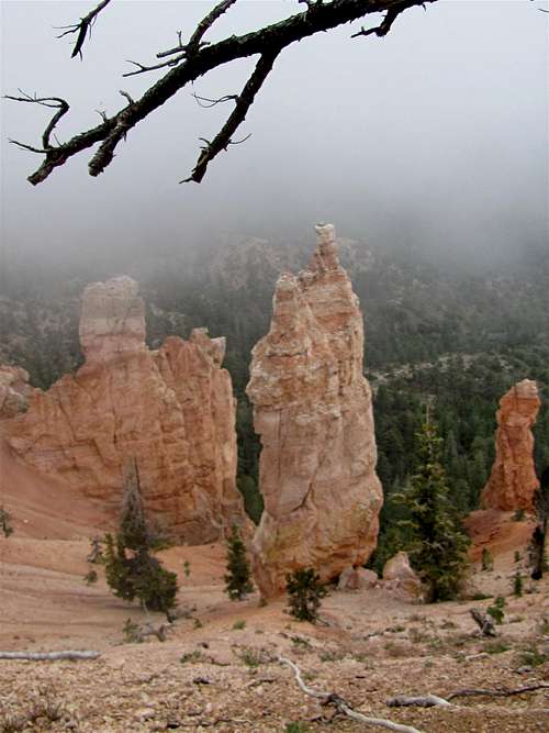 The only hoodoos that I saw