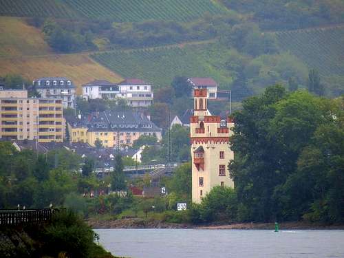 Mauseturm from river Rhine