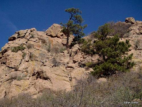 Outcrops along Tanner Trail