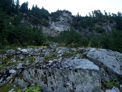 Cliffs On Bald Eagle Mountain