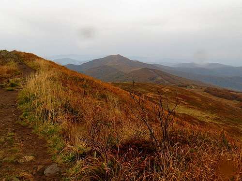 Smerek from ridge of Polonyna Wetlinska