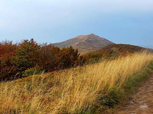 Typical landscape in Bieszczady