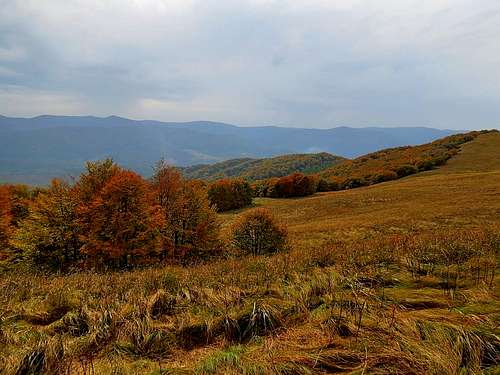 Near Orłowicza Pass