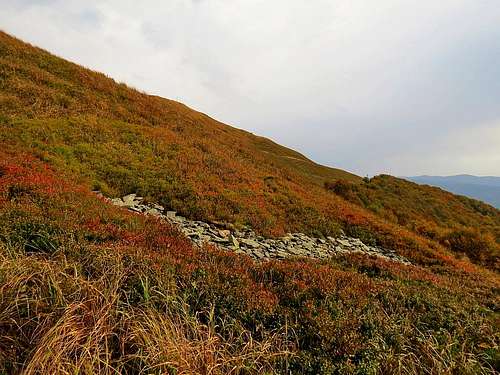 Rock fields below Smerek