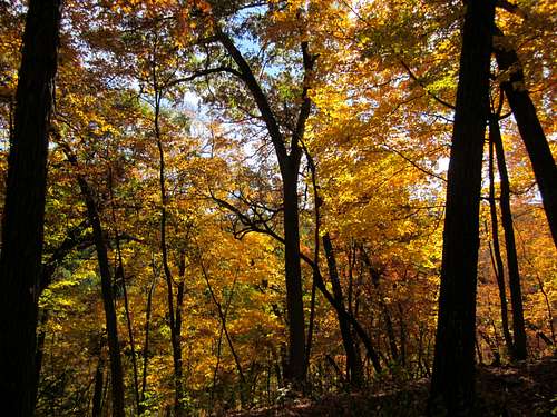 Fall Glory in Wyalusing State Park