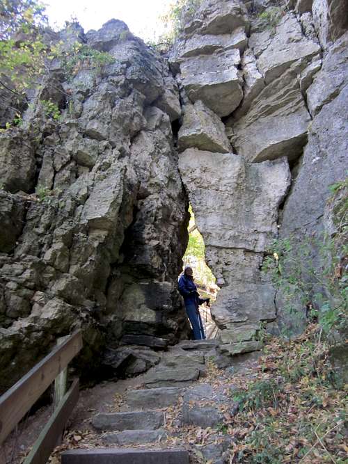 Wyalusing Bluff Trail