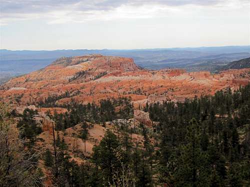 View of Bristlecone Point