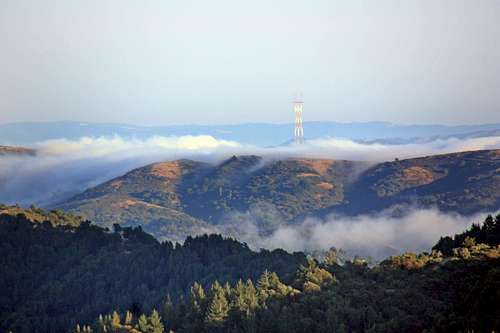 Fog rolling through the Golden Gate