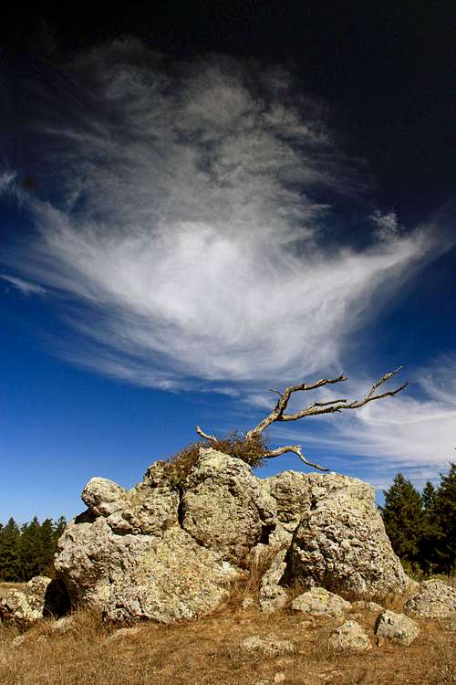 Rock, Branch and Cloud