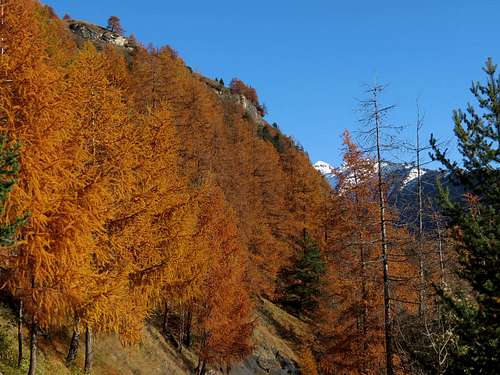 Autumn Colors in the Aosta Valley 