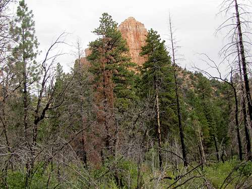 Head of Swamp Canyon