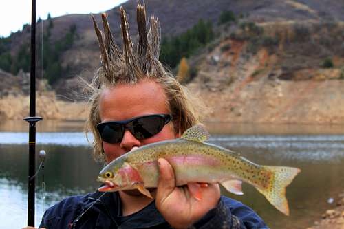 Rainbow Trout